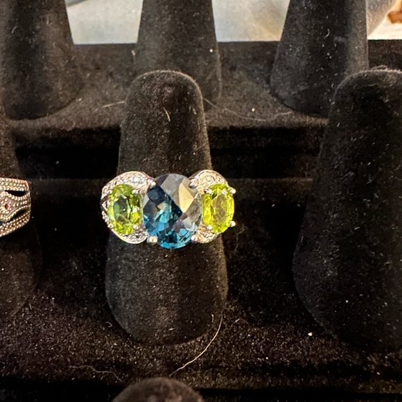 Southern Silver - Picture 13 of 16